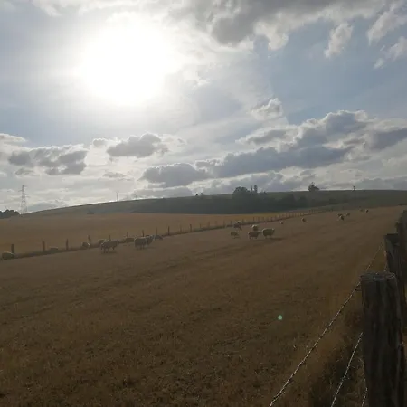 Les Champs * Woimbey